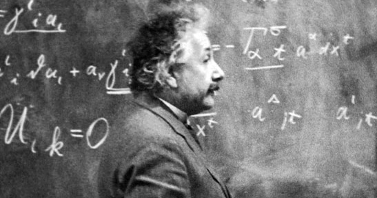 Αϊνστάιν: «όταν εξαφανιστούν οι μέλισσες η ανθρωπότητα θα έχει ακόμα 4 χρόνια ζωής»